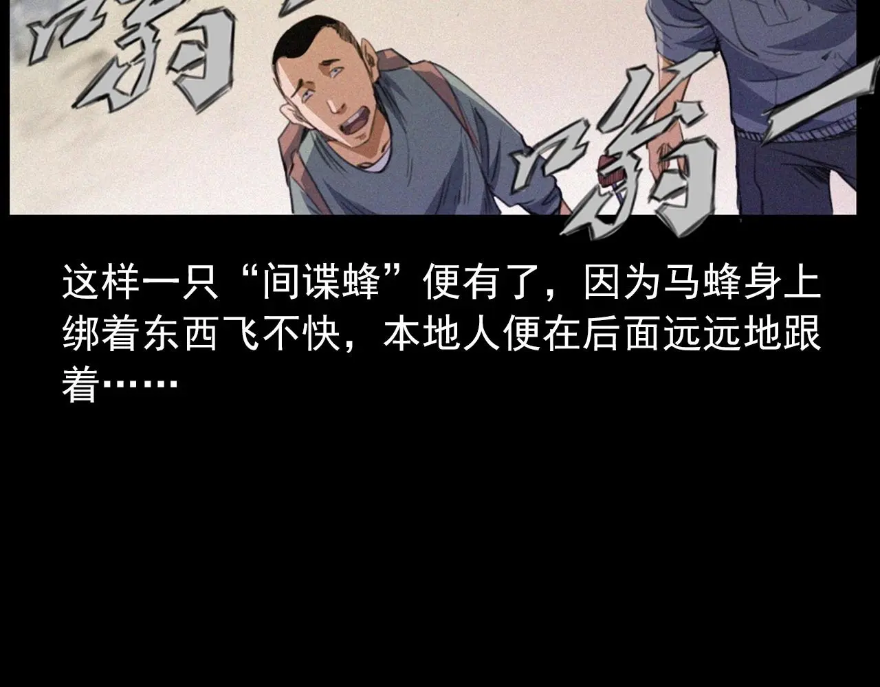 441话 蜂窝19