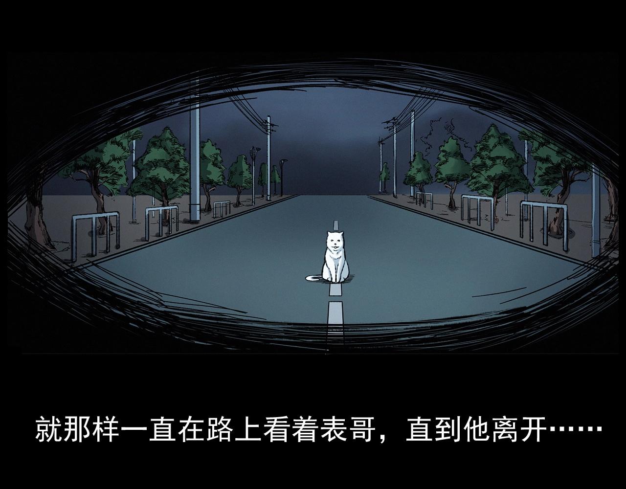 第412话 双瞳猫86