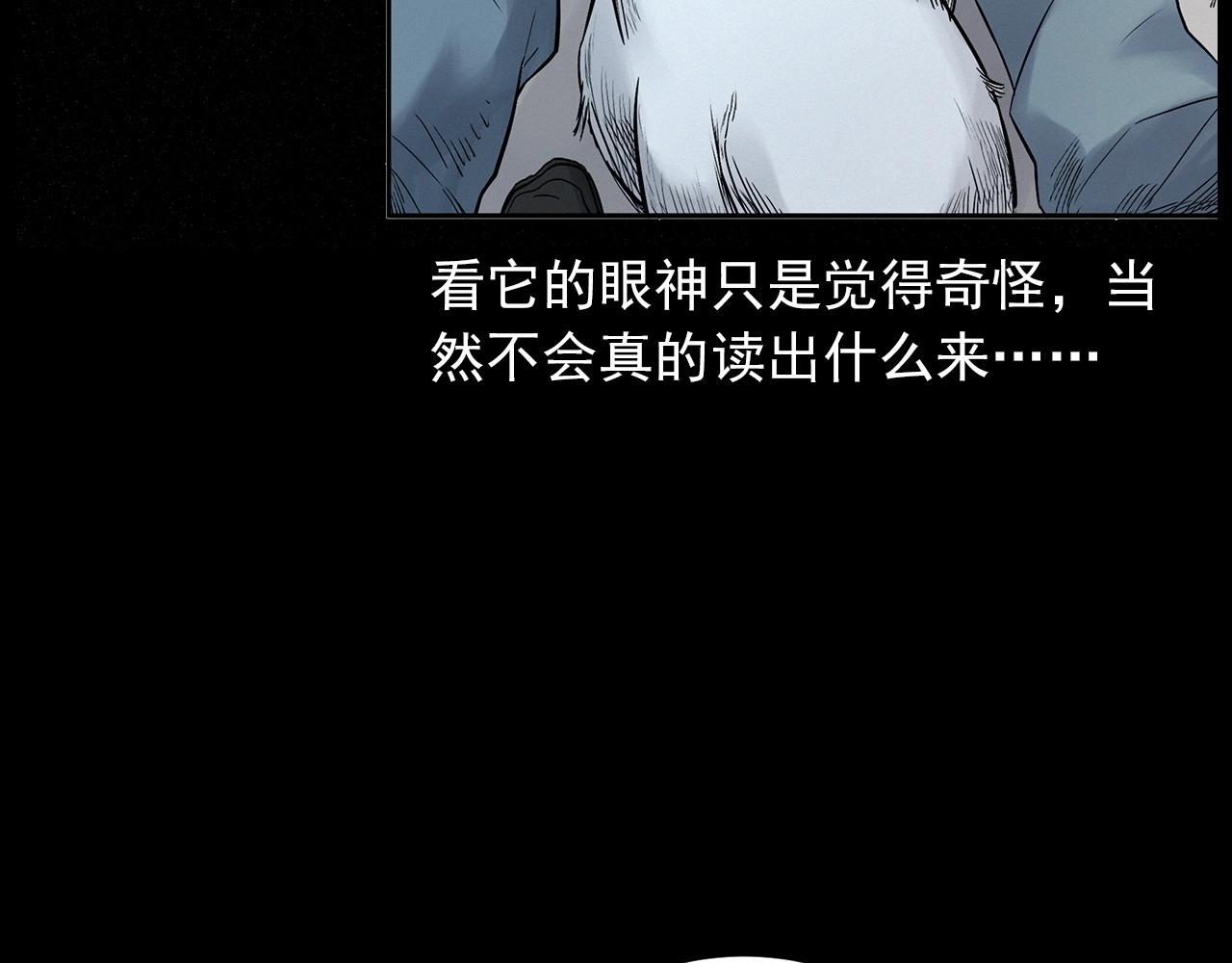第412话 双瞳猫45