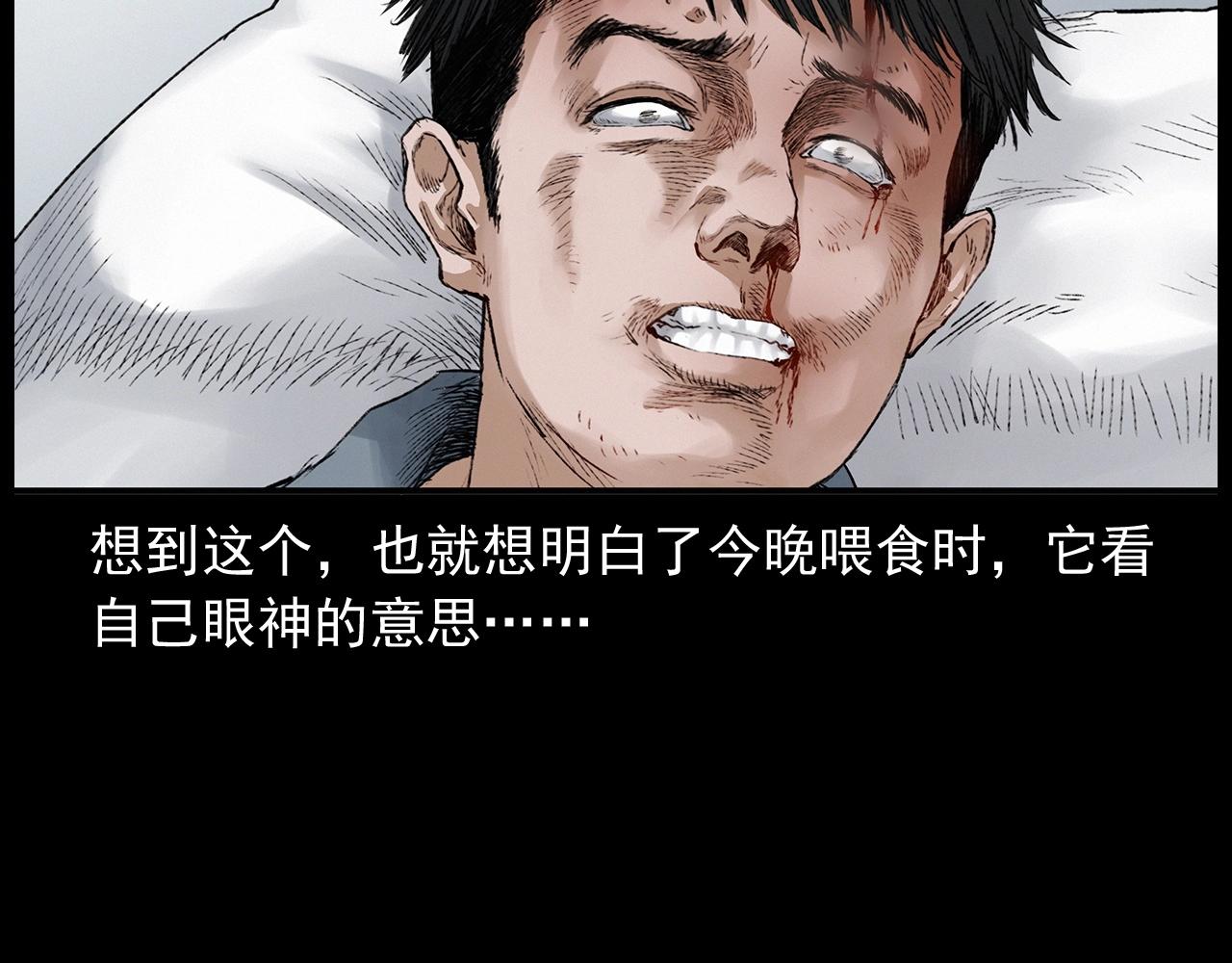 第412话 双瞳猫89