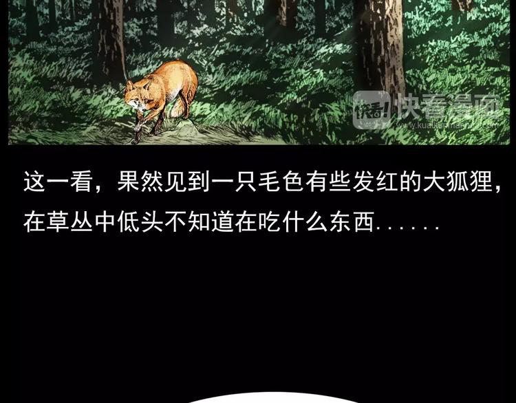 第9话 猎狐32