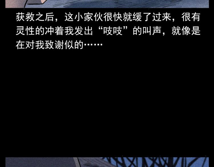 第307话 鼠恩100