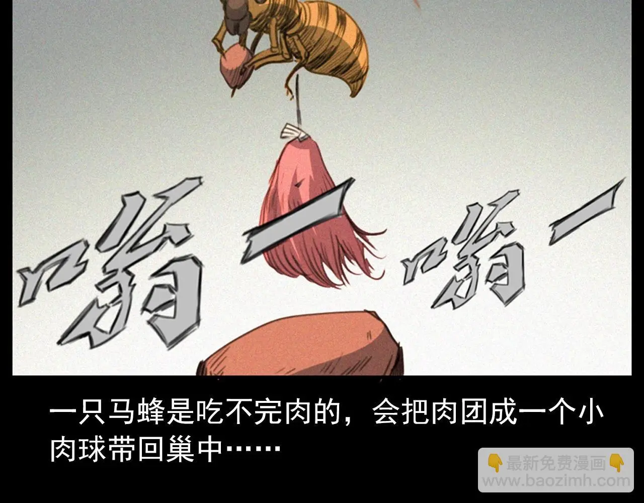 441话 蜂窝16