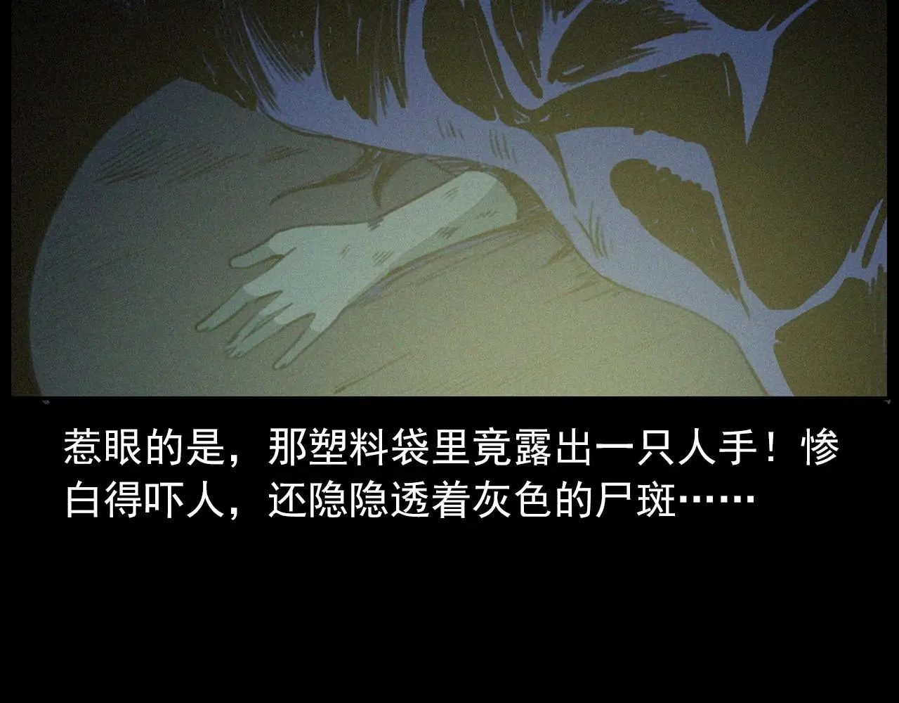 441话 蜂窝100