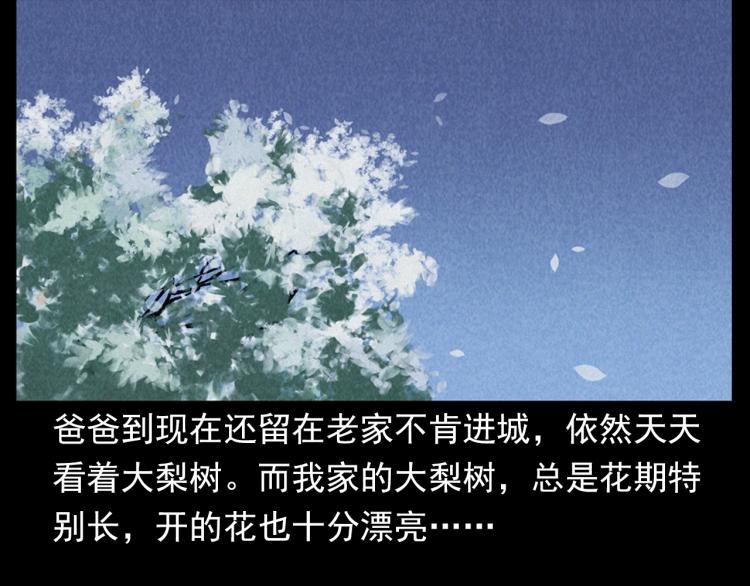 第308话 梨树86