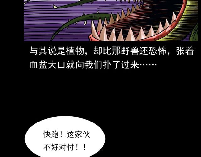 第141话 阎老九之丛林妖灵174