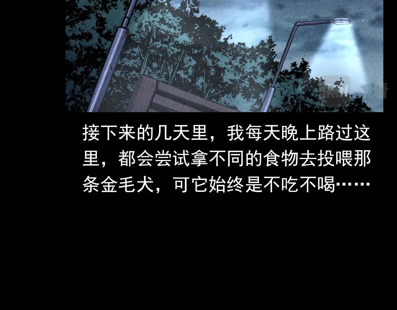 第352话 流浪狗48