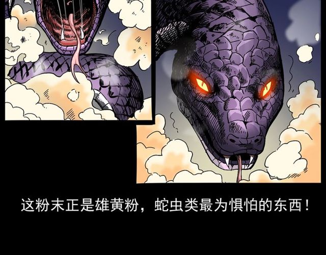 第168话  阎老九之活死人墓75