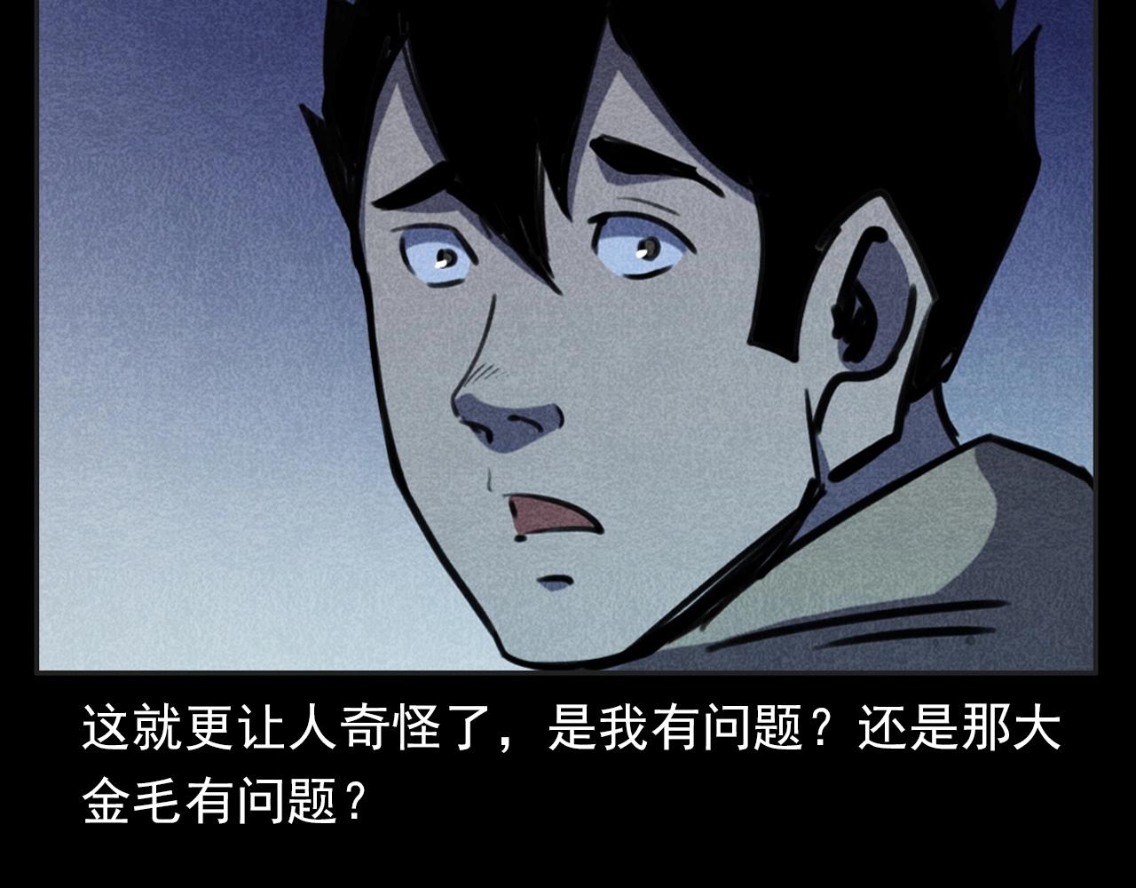 第352话 流浪狗44