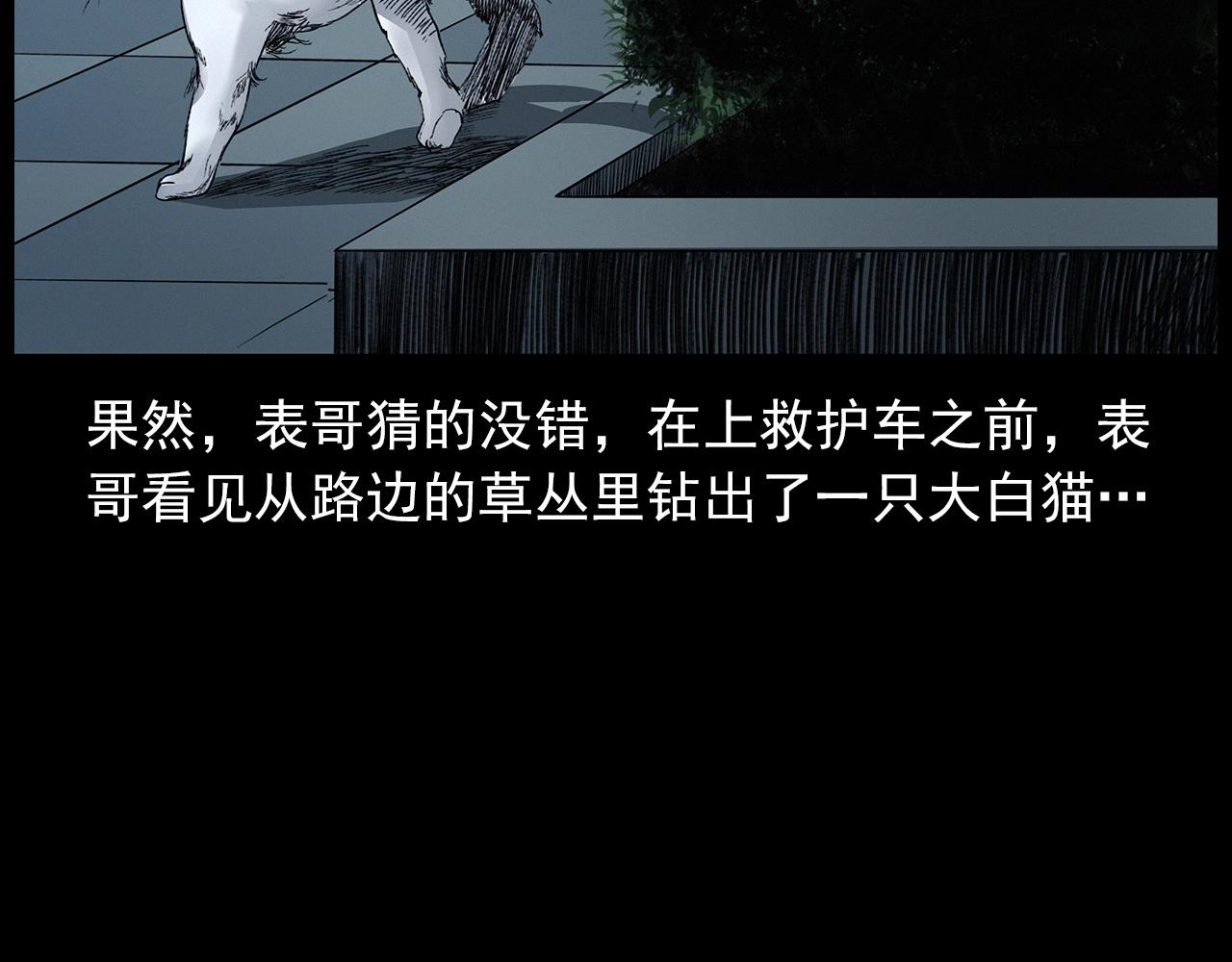 第412话 双瞳猫81