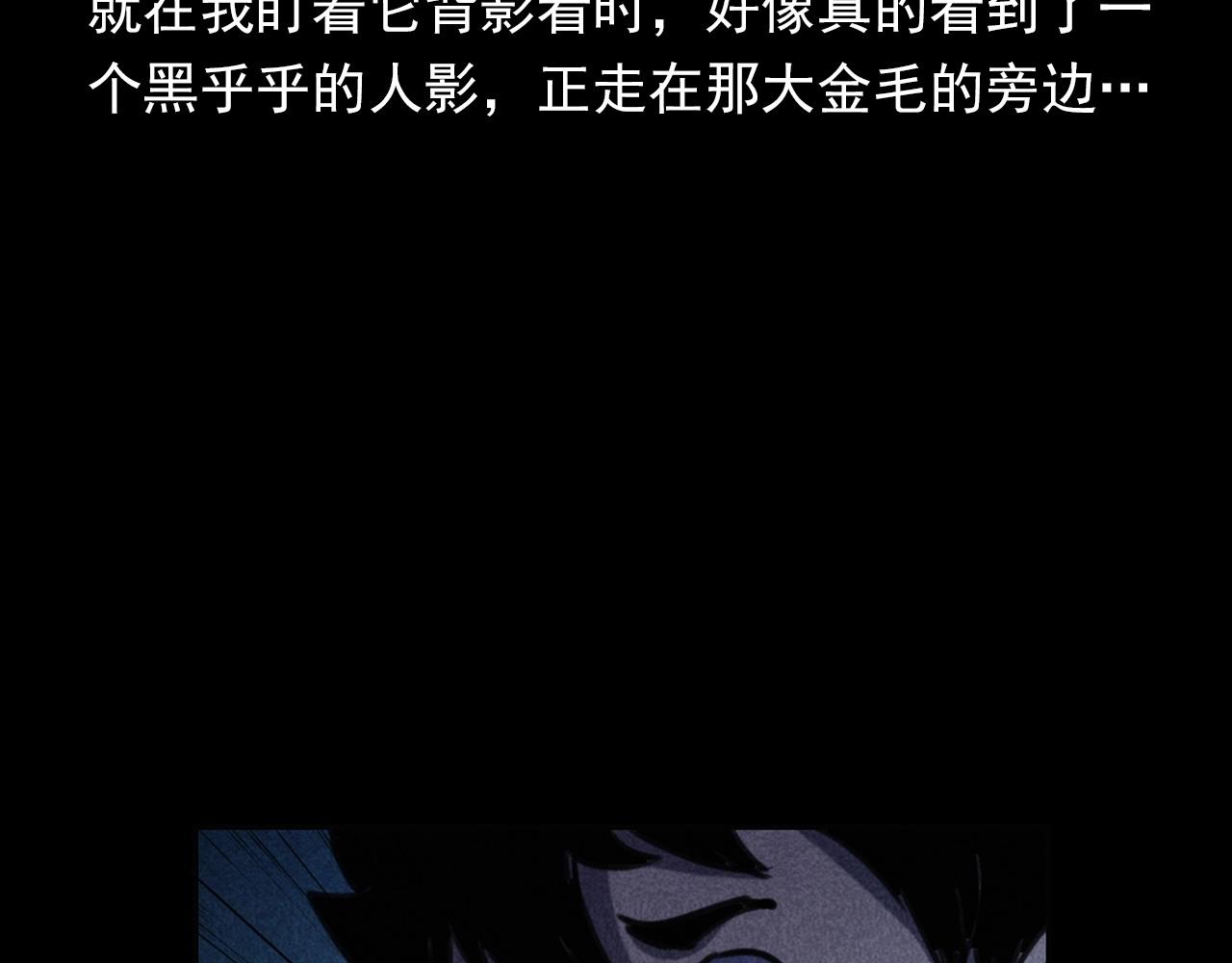 第352话 流浪狗77