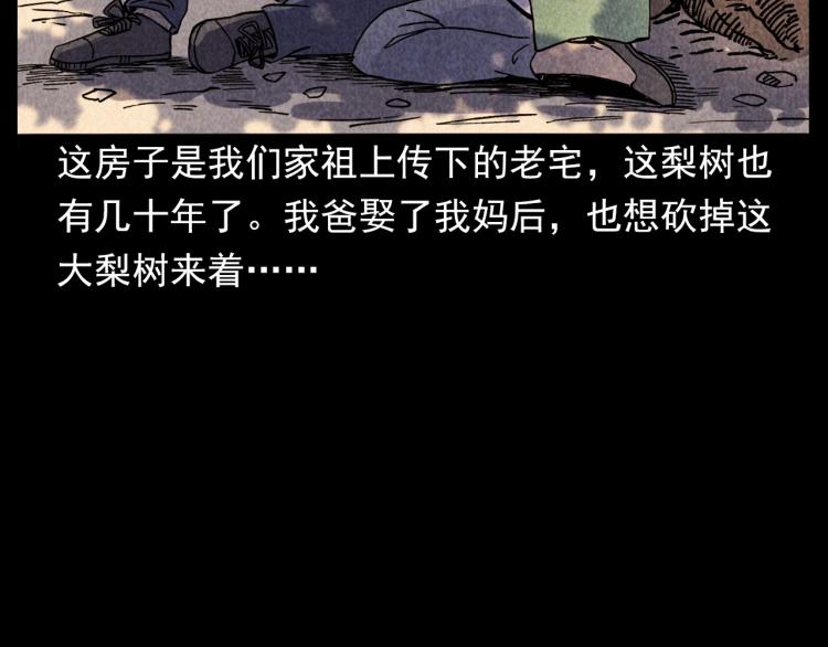 第308话 梨树31