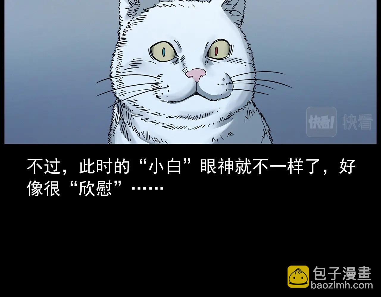 第412话 双瞳猫84