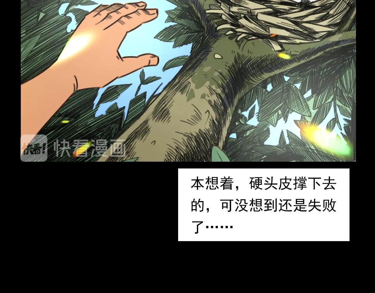 第245话 招魂词21