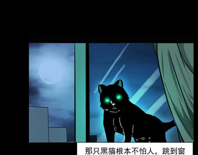 第159话  医院里的黑猫90