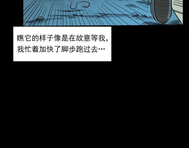 第121 老屋29