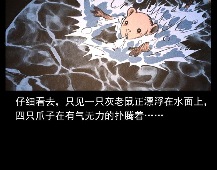 第307话 鼠恩88