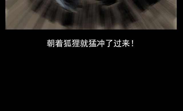 第113话 猎狐人！117