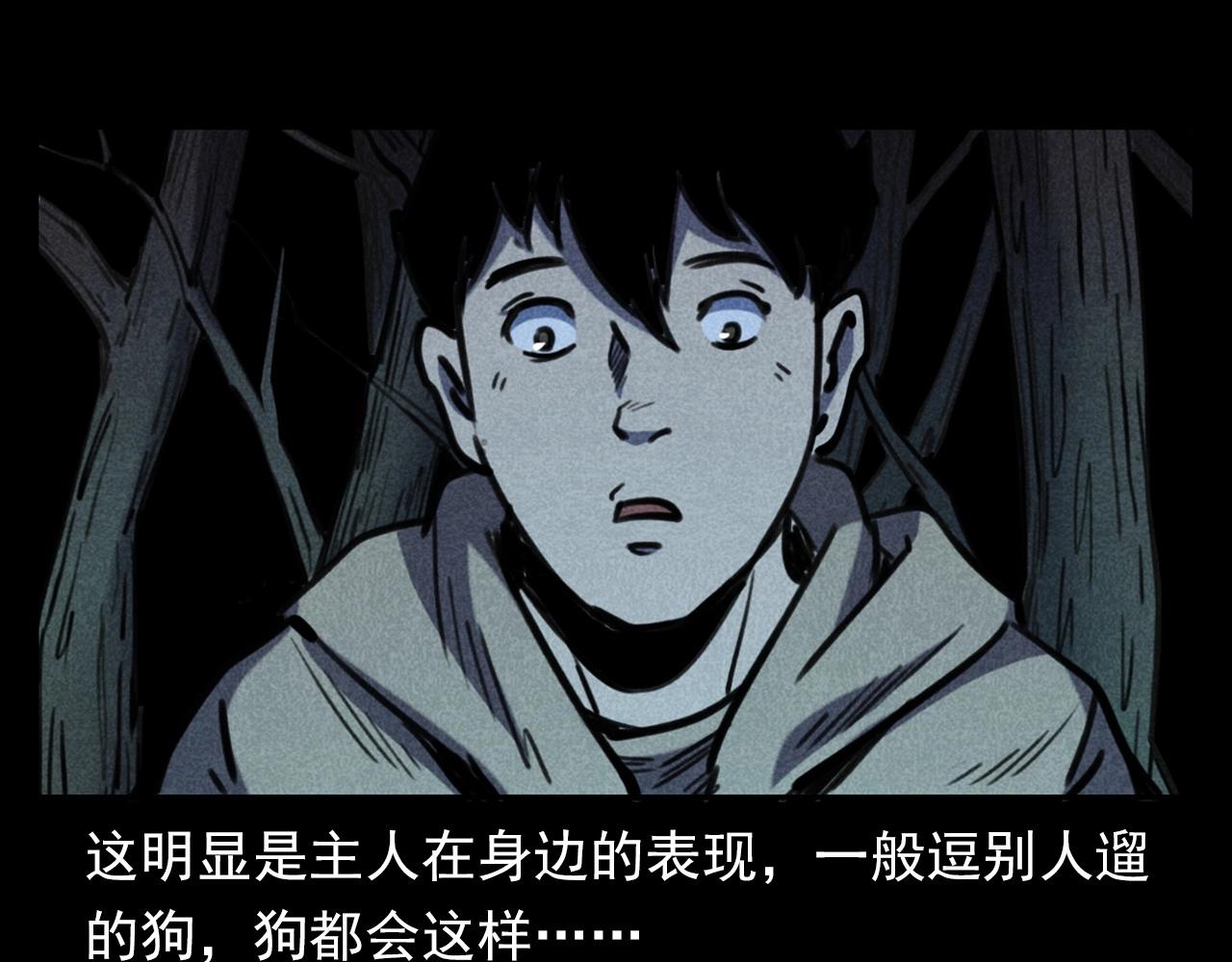 第352话 流浪狗70