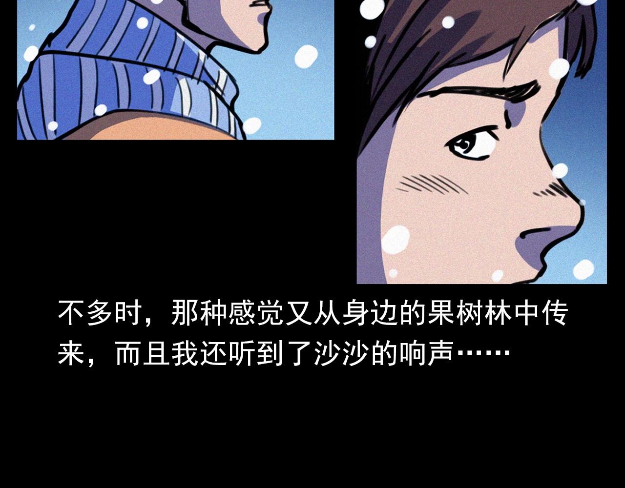 第339话 雪夜诡事30