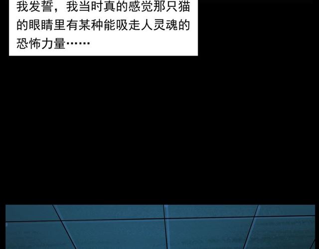 第159话  医院里的黑猫93