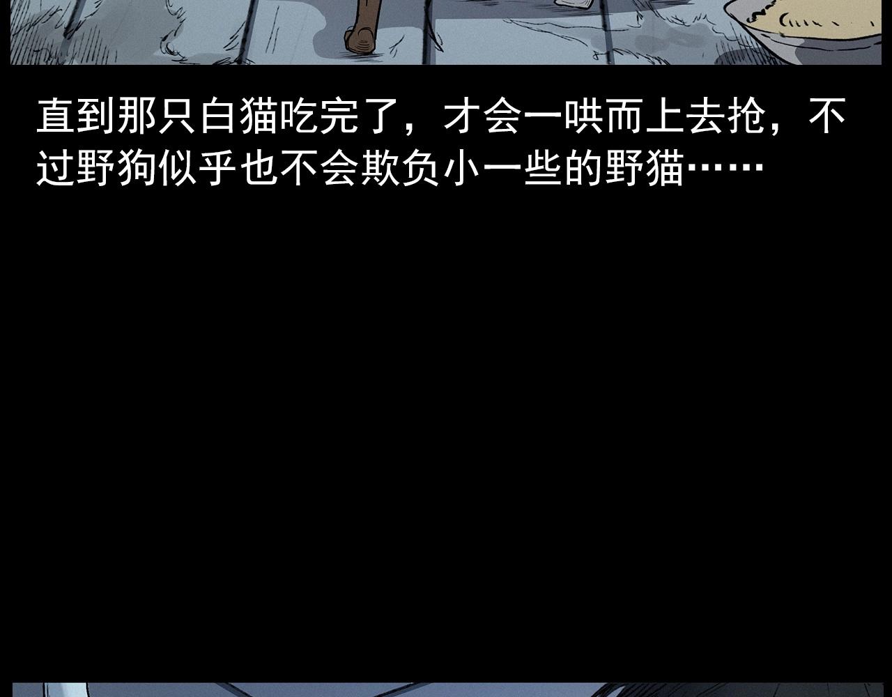 第412话 双瞳猫31