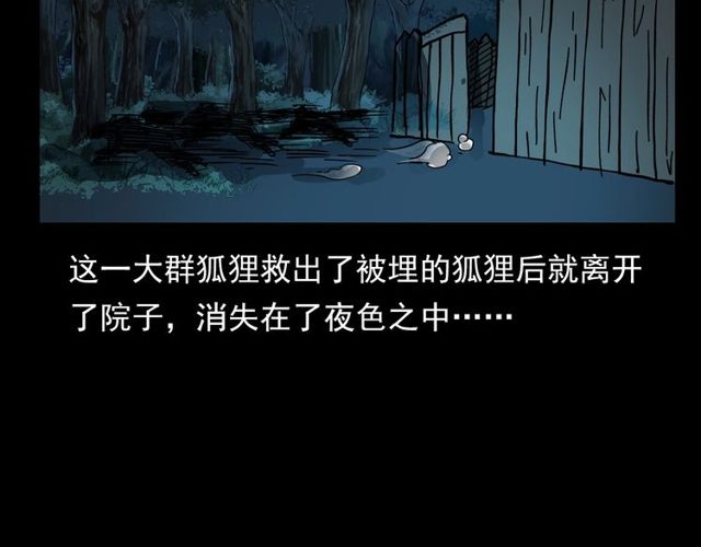第111话 血玉127