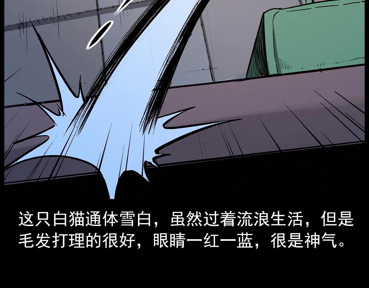 第412话 双瞳猫24