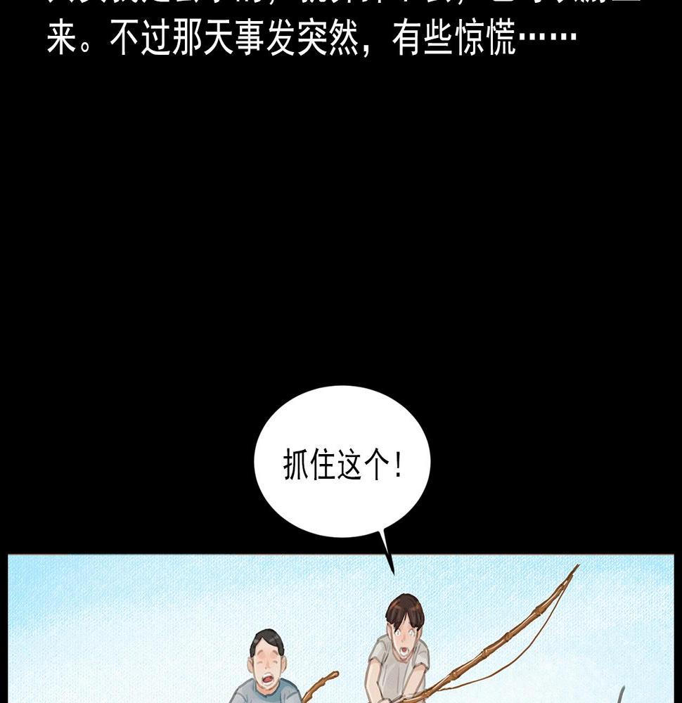 第413话 鸡粪11