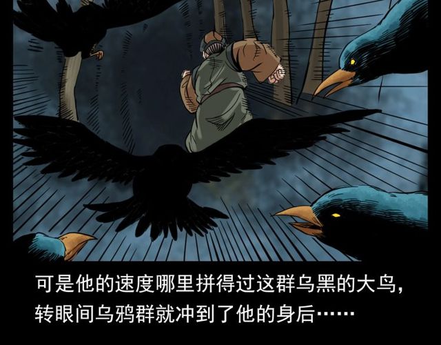 第120话 乌鸦！12