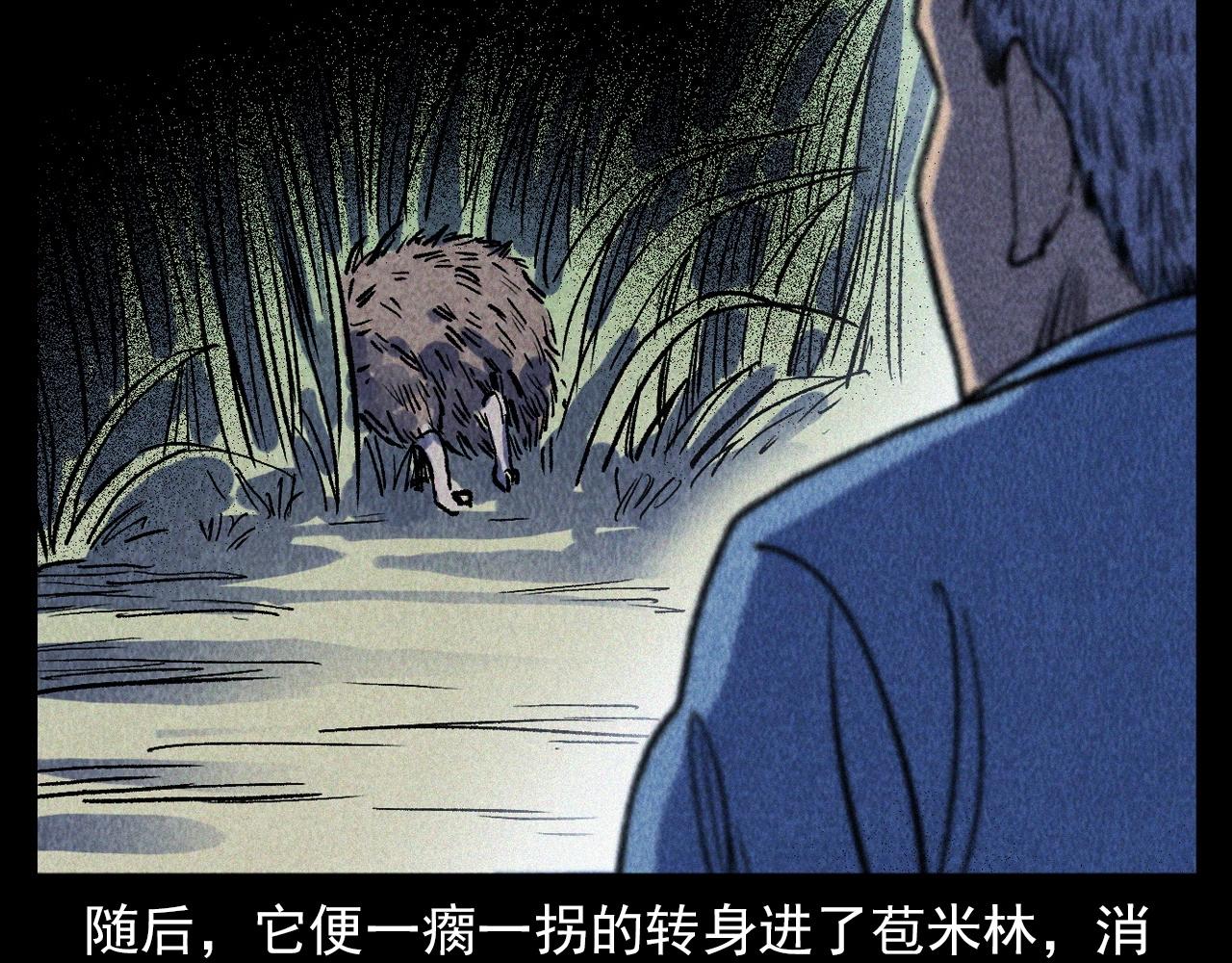 第334话 白仙医89
