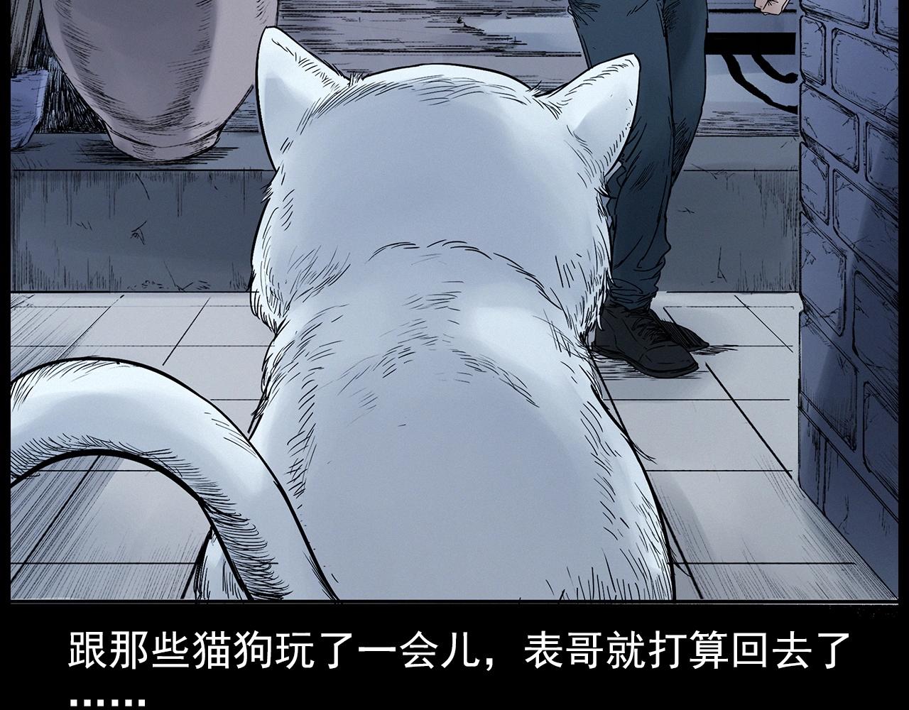 第412话 双瞳猫47