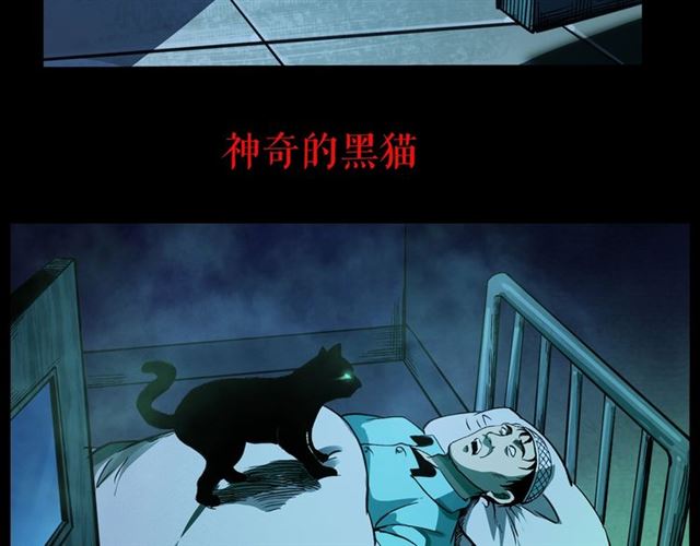 第157话  午夜场之车祸之后117