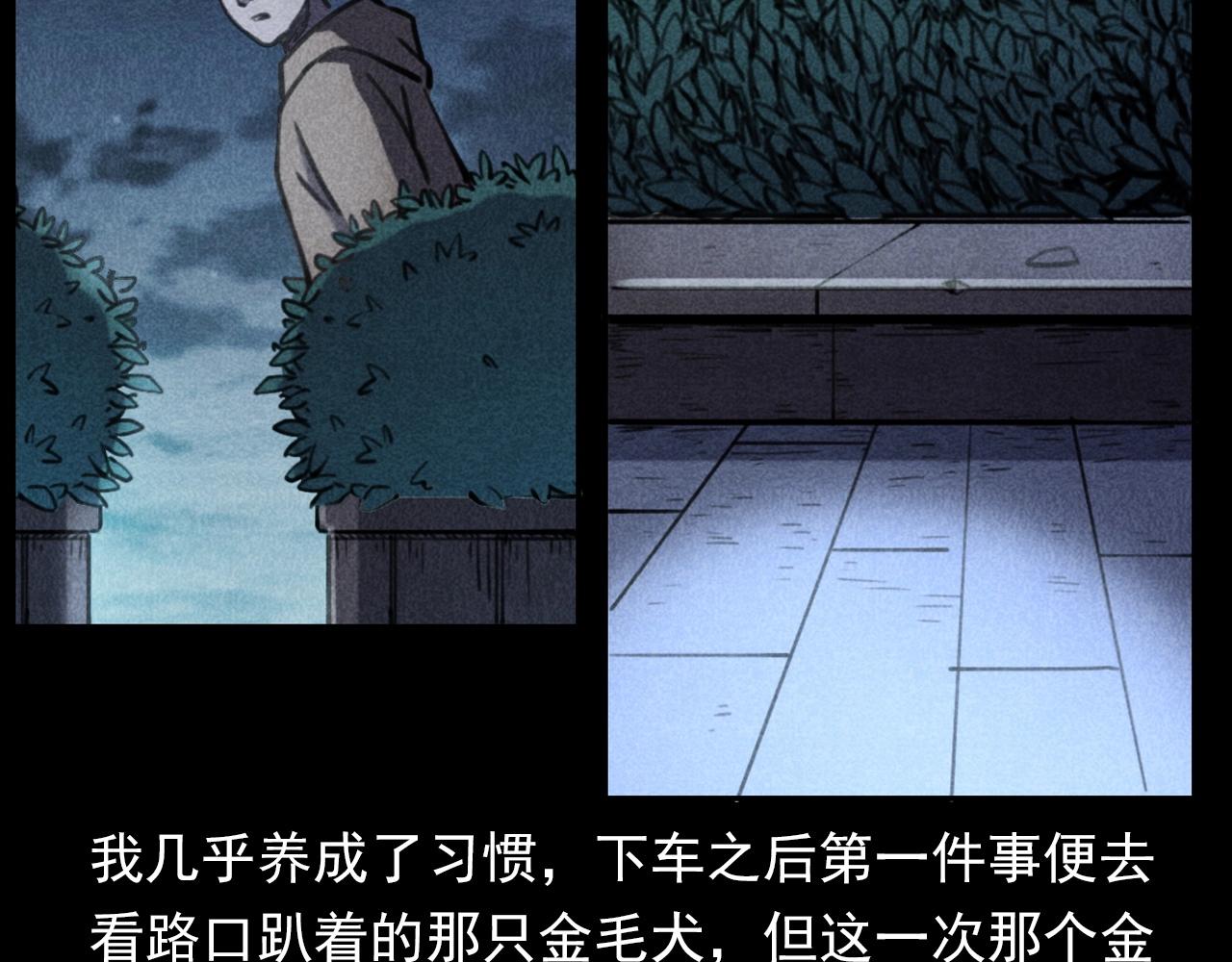 第352话 流浪狗51