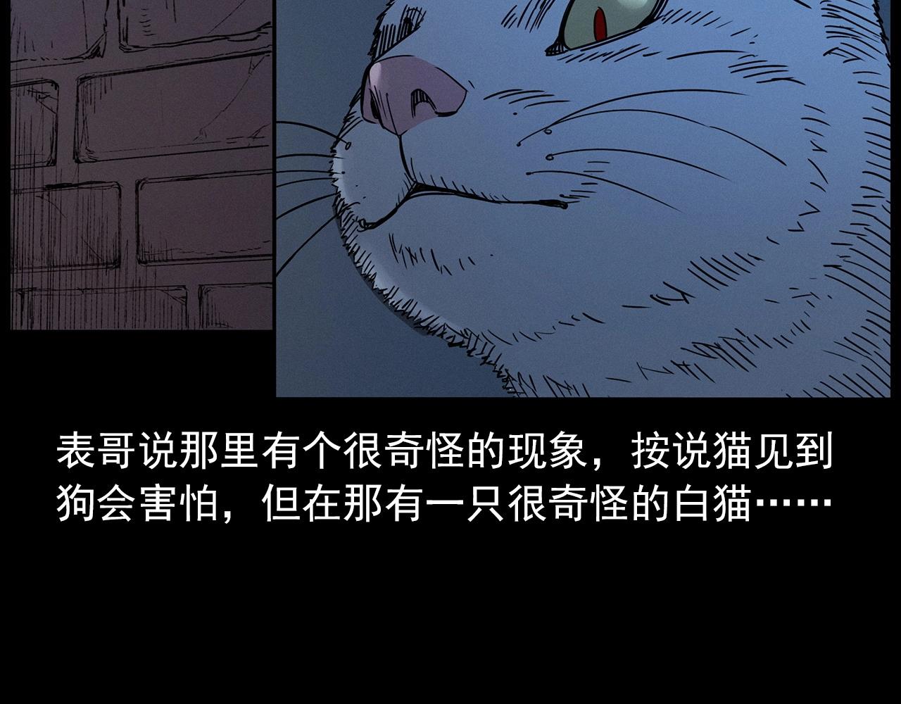 第412话 双瞳猫21