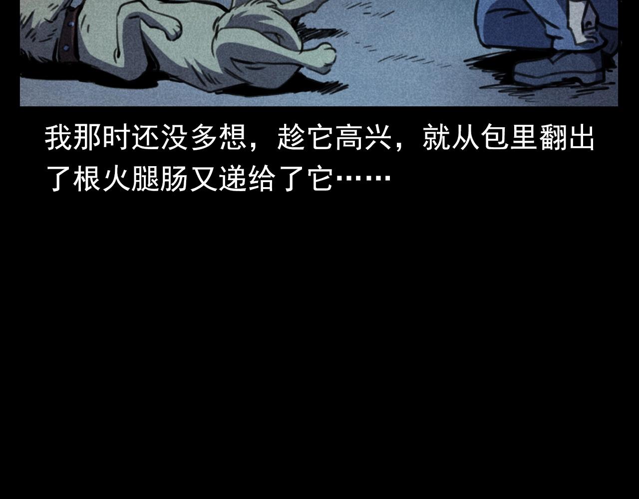 第352话 流浪狗67