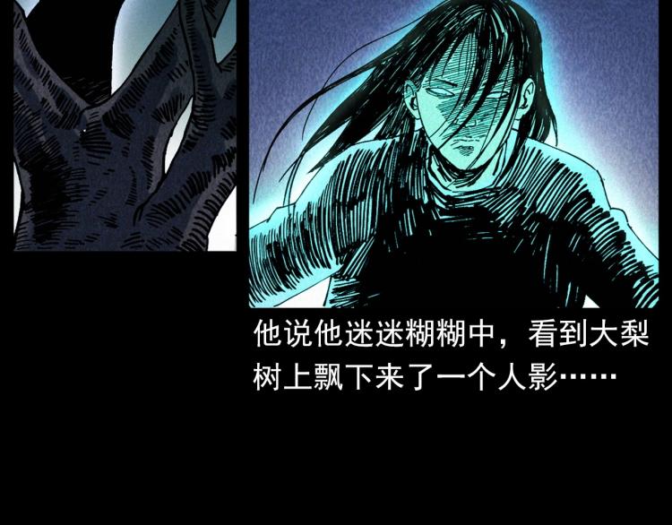 第308话 梨树61