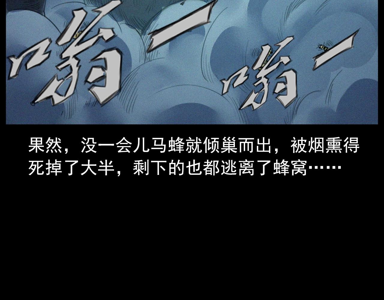 441话蜂窝43