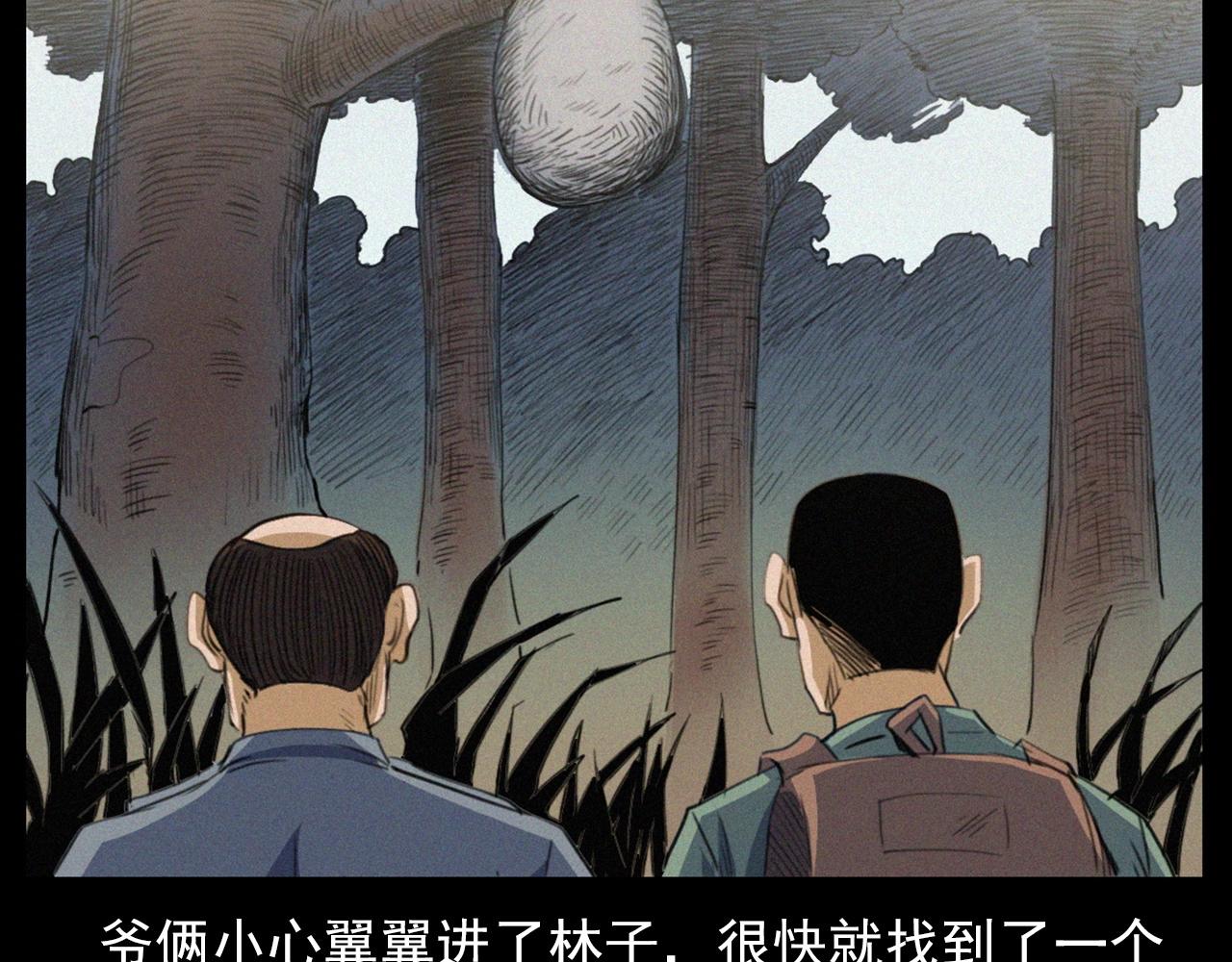 441话蜂窝30