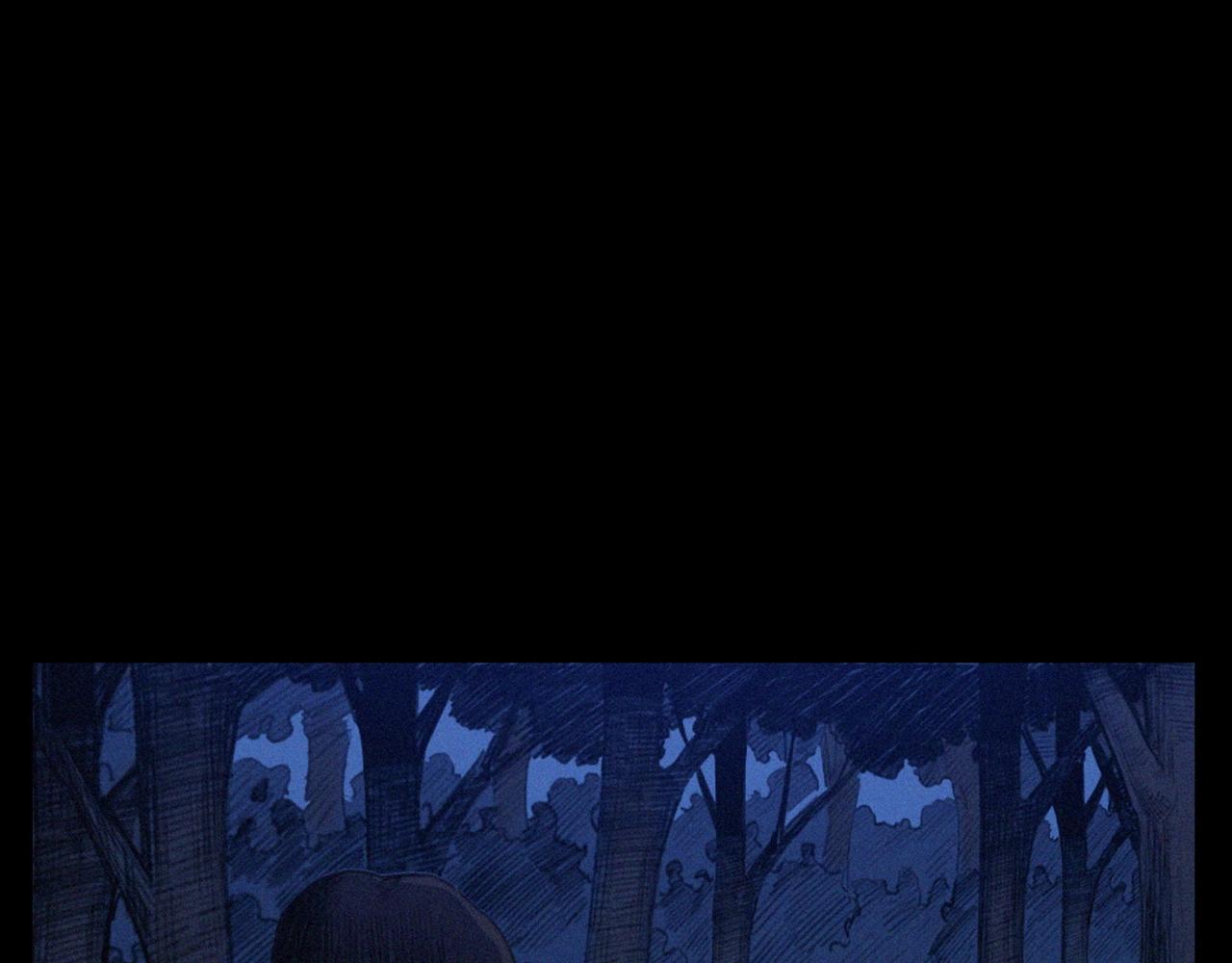 441话蜂窝82
