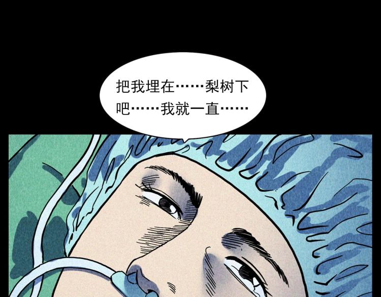 第308话 梨树47