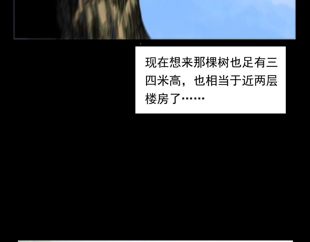 第245话 招魂词27