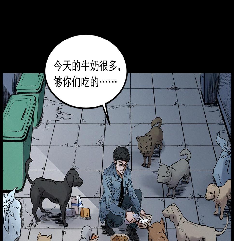 第412话 双瞳猫17