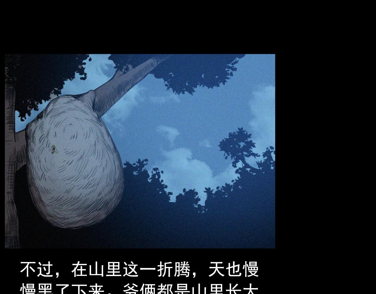 441话蜂窝35