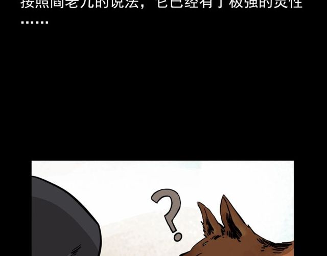 第116话 三脚猫！10