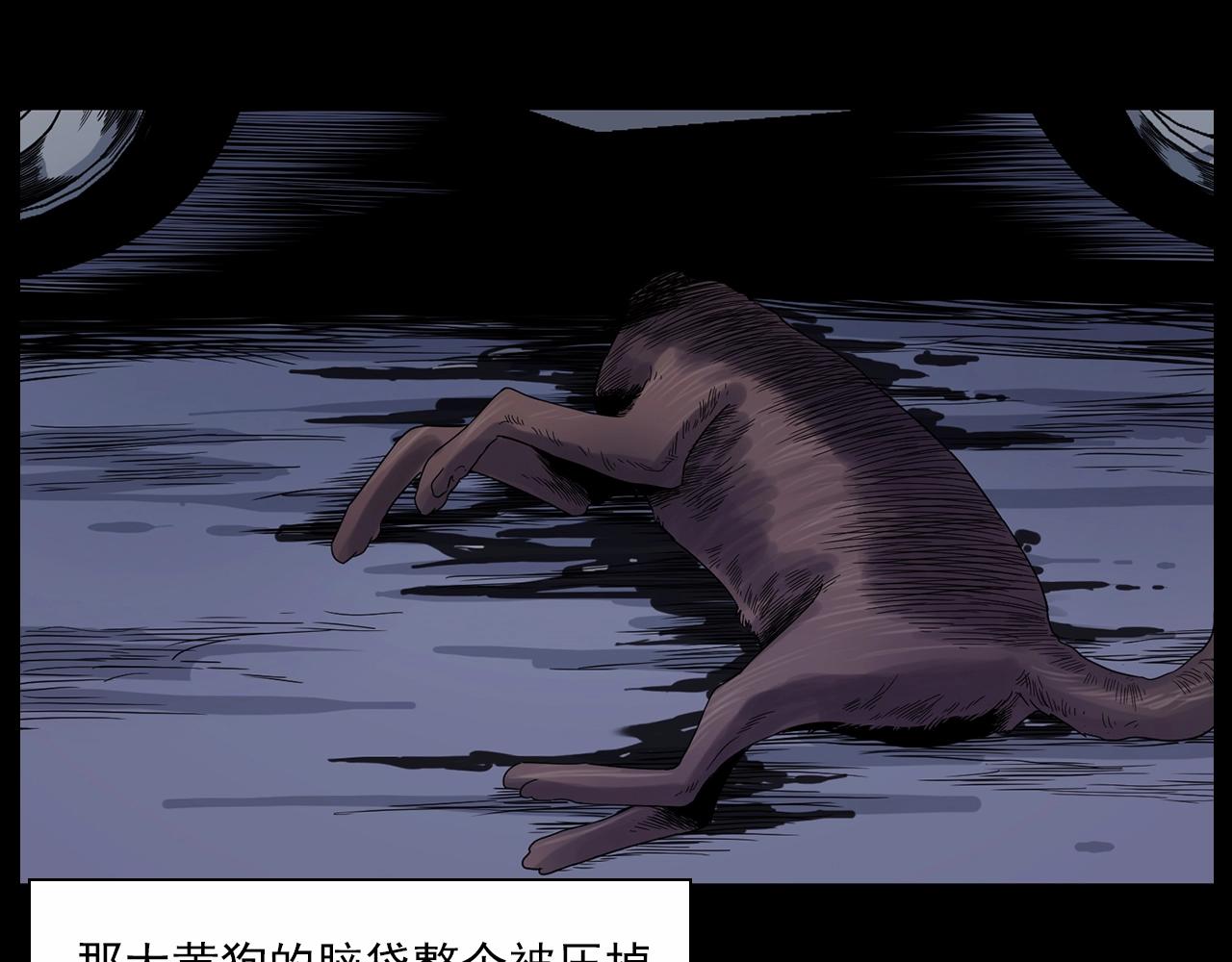 第185话 午夜场之偷狗42