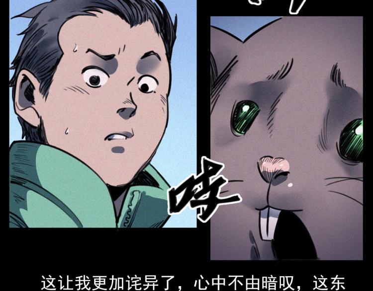 第307话 鼠恩27