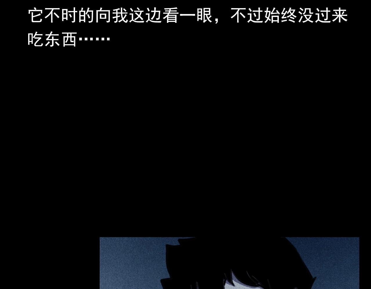 第352话 流浪狗16