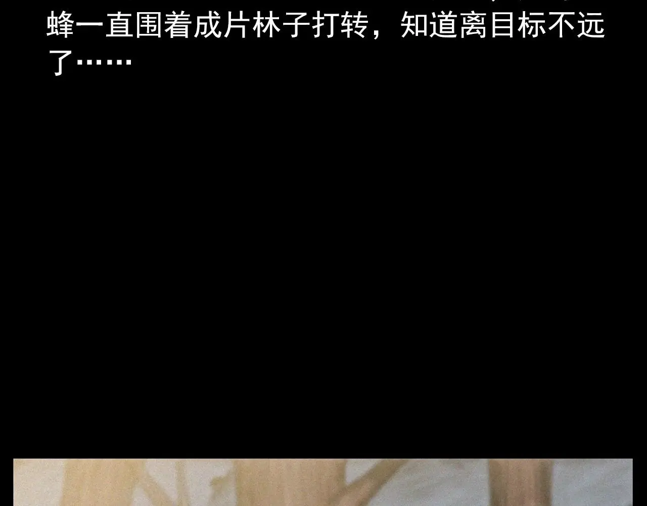441话 蜂窝27