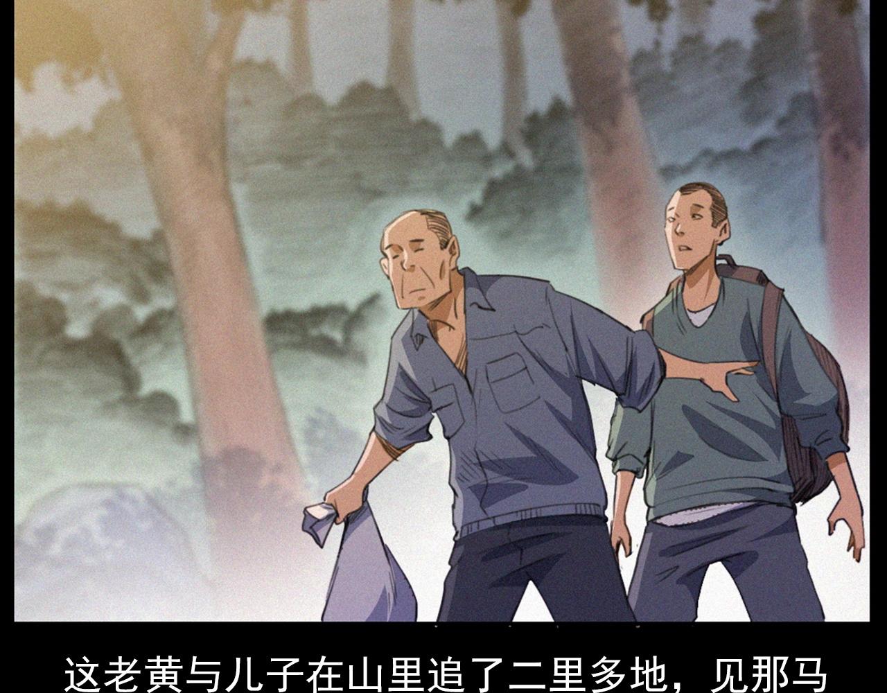 441话蜂窝26